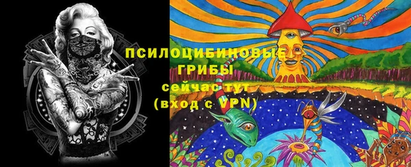 амф Горно-Алтайск