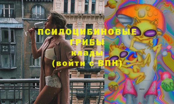 прущая мука Горняк